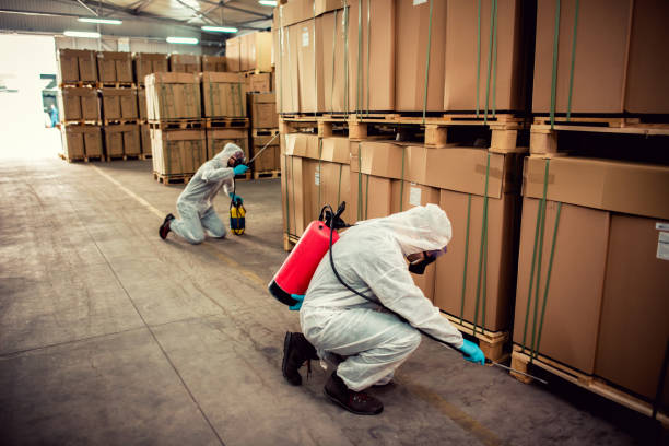 Best Mosquito Control Services  in Palos Verdes Estates, CA