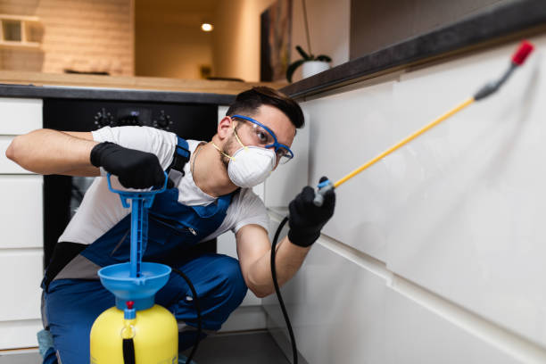Pest Prevention Services in Palos Verdes Estates, CA