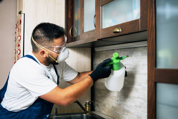 Best Ant Control Services  in Palos Verdes Estates, CA