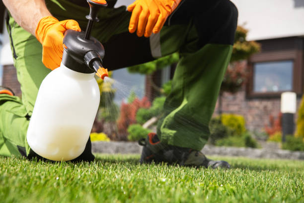 Spider Control Near Me in Palos Verdes Estates, CA