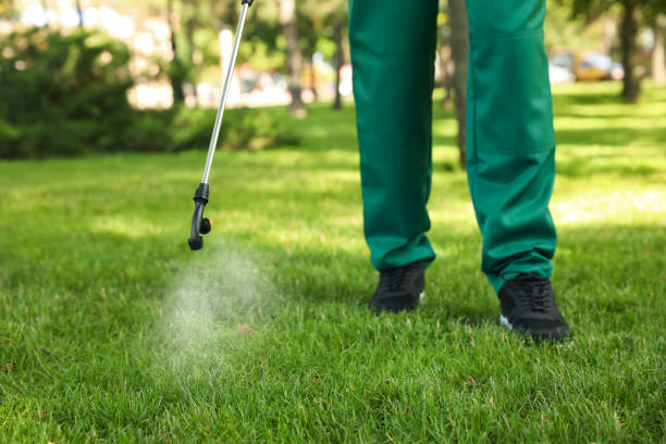 Best Best Pest Control Companies  in Palos Verdes Estates, CA