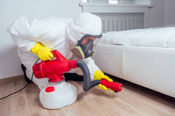 Trusted Palos Verdes Estates, CA Pest Control Experts