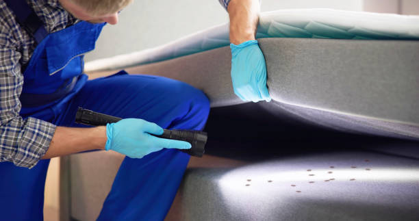 Best Bed Bug Extermination  in Palos Verdes Estates, CA