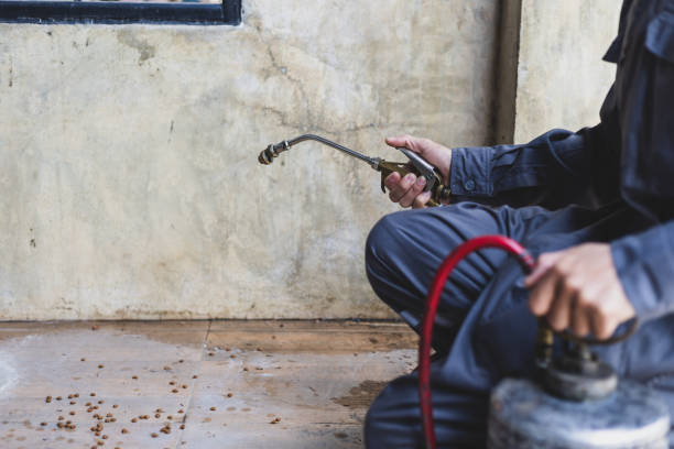 Best Pest Removal Services  in Palos Verdes Estates, CA