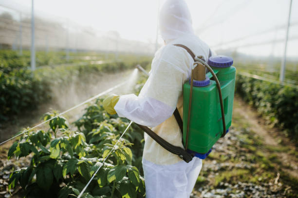 Best Pest Control Near Me  in Palos Verdes Estates, CA